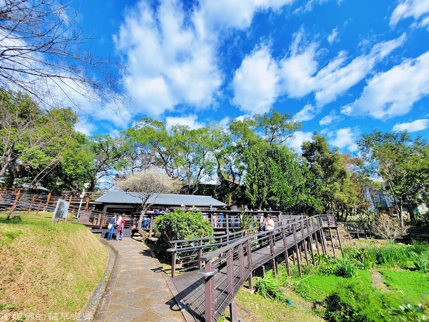 2022角板山梅花季