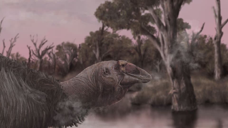 An artistic life reconstruction shows Genyornis newtoni, the last of the mihirungs, at the water’s edge. - Jacob C. Blokland