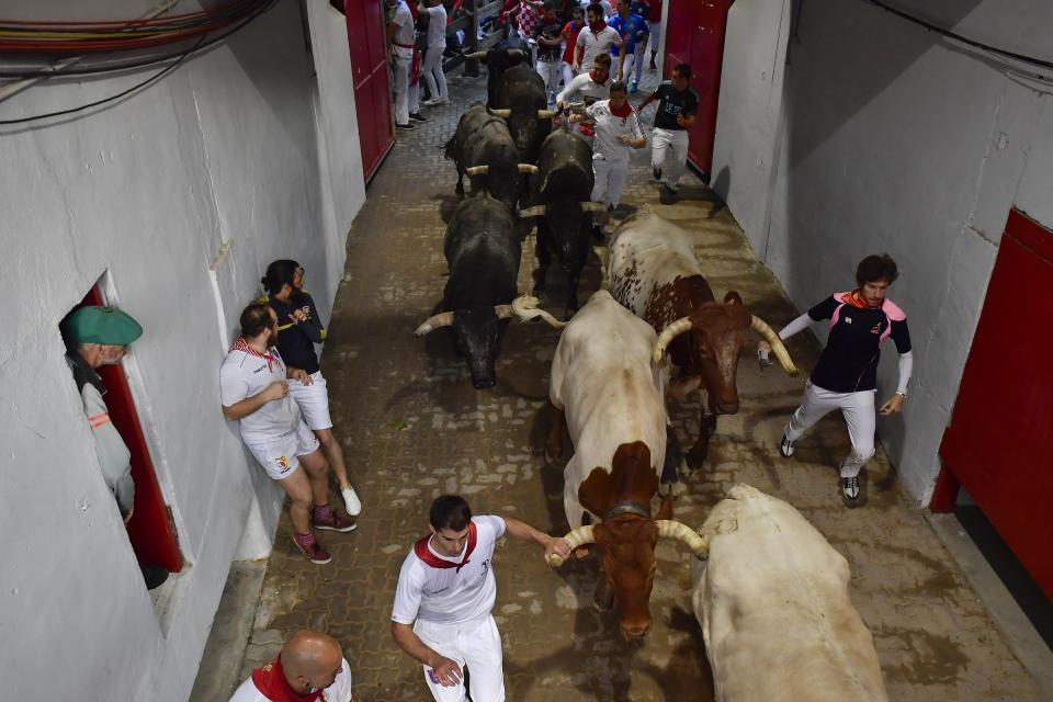 Revellers run next to fighting bulls during the running of the bulls at the San Fermin Festival, in Pamplona, northern Spain, Sunday, July 14, 2019. The San Fermin fiesta made internationally famous by Ernest Hemingway in his novel "The Sun Also Rises" draws around 1 million partygoers each year.(AP Photo/Alvaro Barrientos)