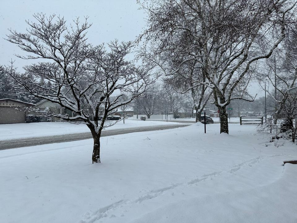 Snow falls in Livonia on Tuesday, Jan. 30, 2024.