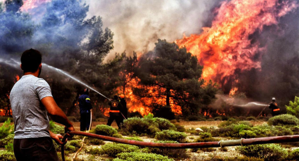At least 74 people have died in fires in Greece. Source: AP