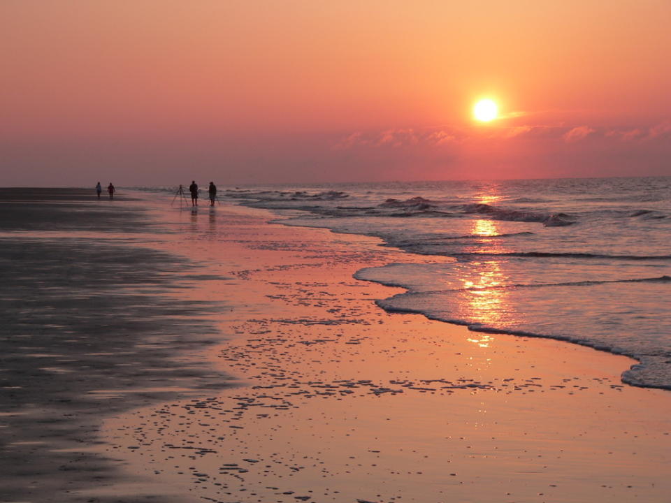 <p>L’île abrite des terrains de golf, des musées et même le Pinckney Island National Wildlife Refuge, un marais salé où vivent des cerfs, des alligators et des oiseaux.<br><em>[Photo : Lee Coursey/Flickr]</em> </p>