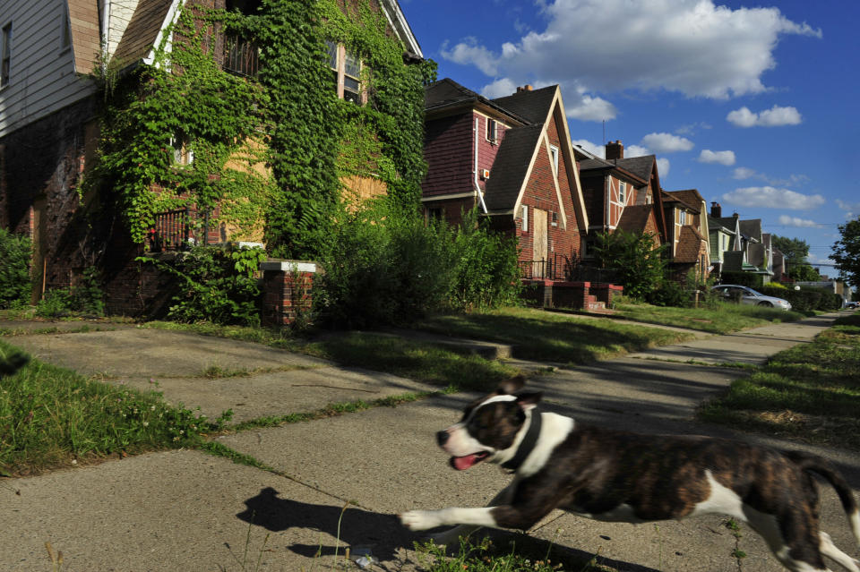 Detroit had 52,947 vacant properties and a vacancy rate of 18.6 percent in February 2016, according to RealtyTrac. <br /><br />Lola Holten has lived in the Fitzgerald Community of Detroit for 40 years. Seven vacant dwellings surround her home, shown in in this photo from July 2015. She is saddened that her home is worth&nbsp;less than she paid for it, and as the blight has spread, she's afraid of the increase in crime.