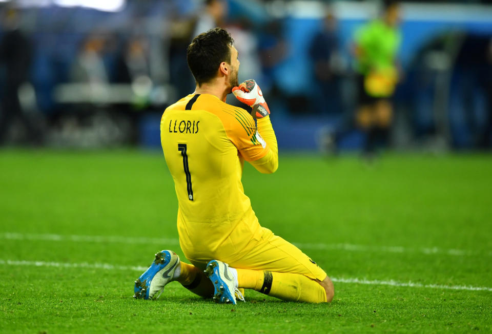 <p>Hugo Lloris celebrates after the win </p>