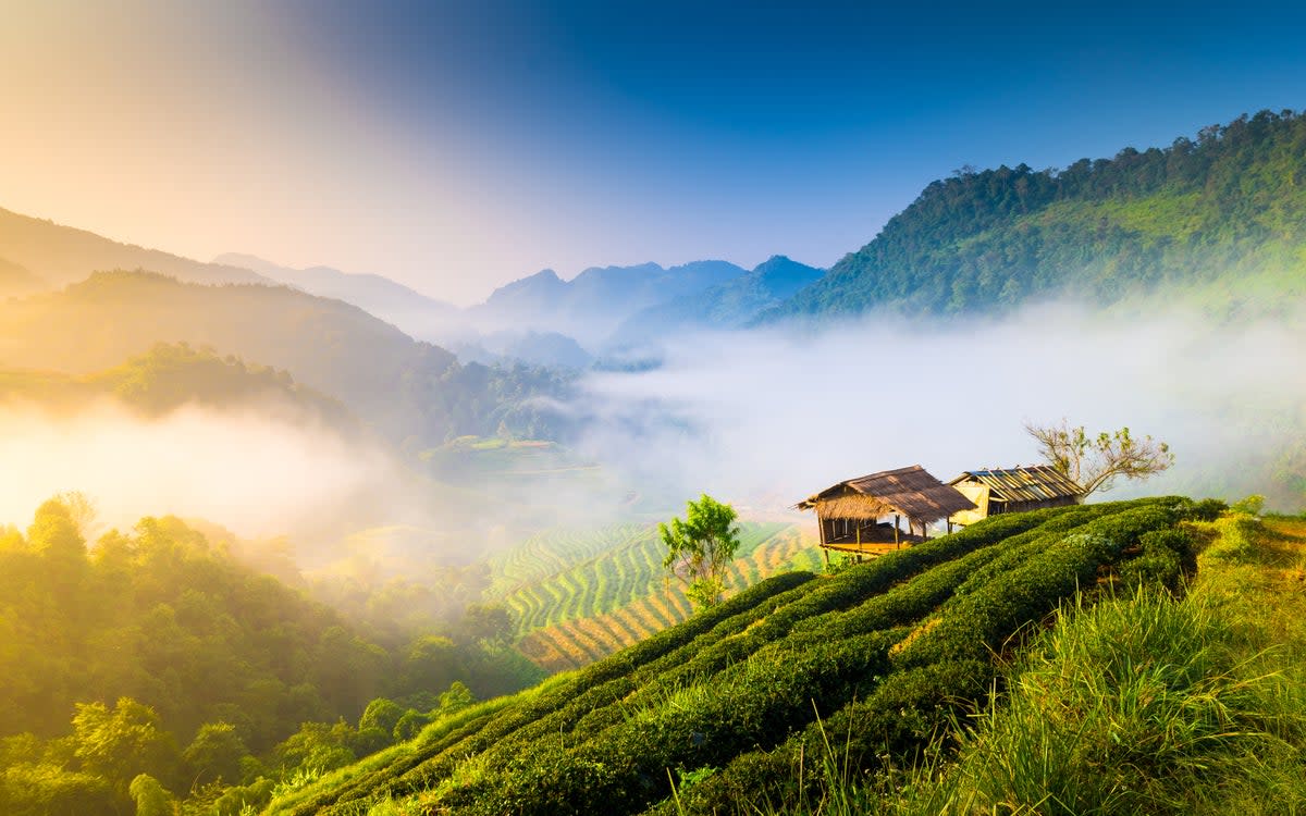 Thailand’s tropical climate is strongest in the north  (Getty Images)