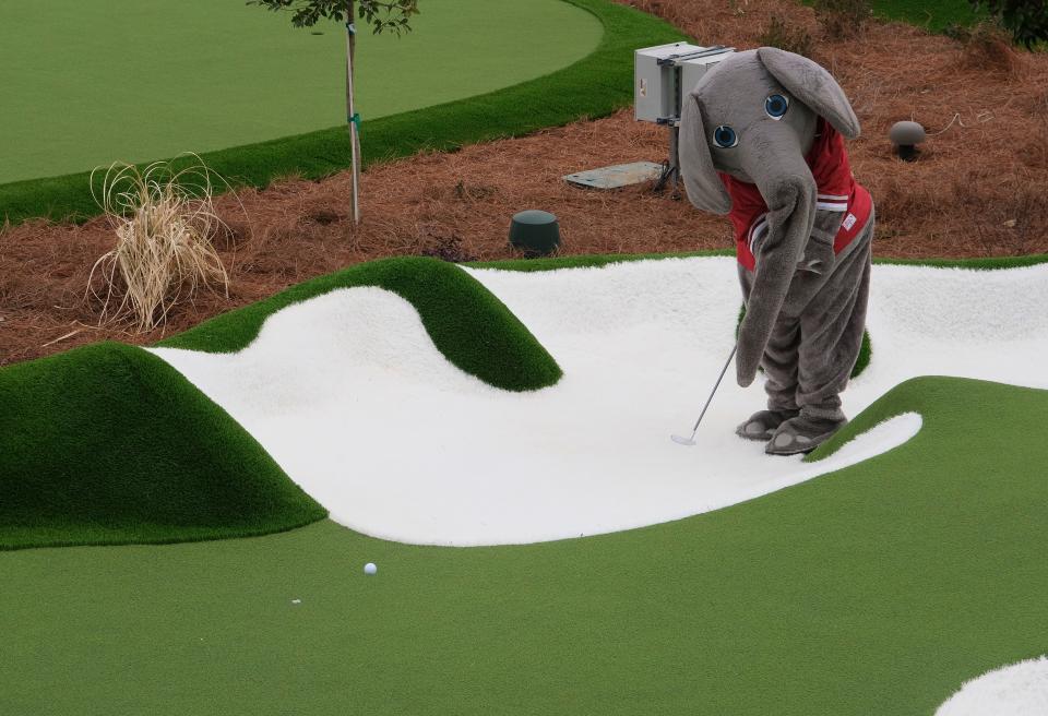 Jan 18, 2024; Tuscaloosa, Alabama, USA; Big Al finds himself in a trap as he putts during the PopStroke opening Thursday morning. This is the tenth location nationwide for the company.