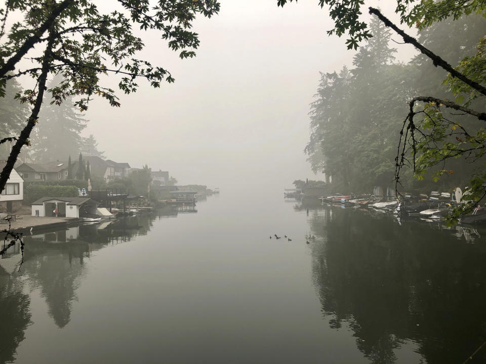 A family of ducks swims on Oswego Lake, which is almost completely obscured by wildfire smoke, in Lake Oswego, Ore. on Monday, Sept. 14, 2020. The entire Portland metropolitan region remains under a thick blanket of smog from wildfires that are burning around the state and residents are being advised to remain indoors due to hazardous air quality. (AP Photo/Gillian Flaccus)