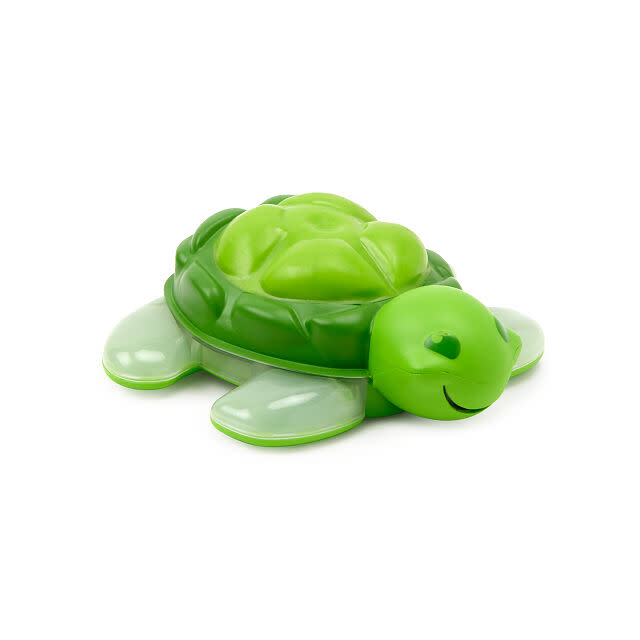 Turtle toothbrush timer