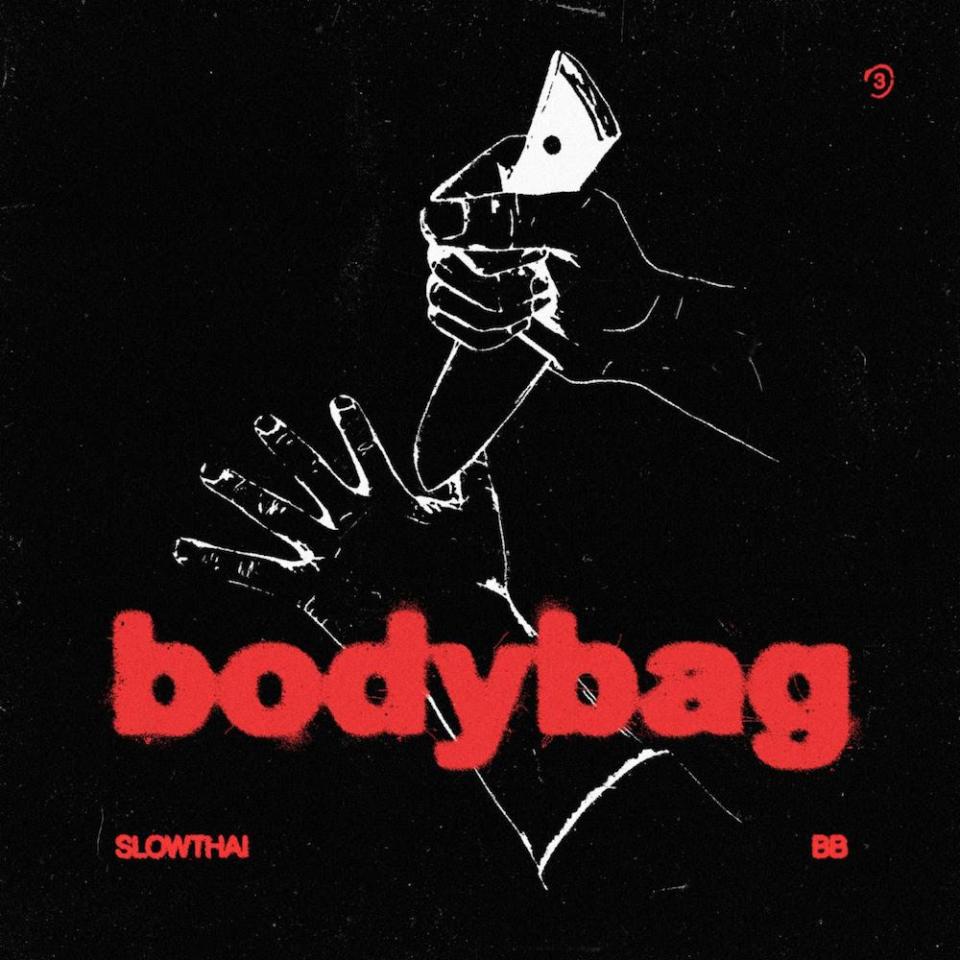 slowthai bodybag single artwork slowthai Drops Killer New Song BB(BODYBAG): Stream