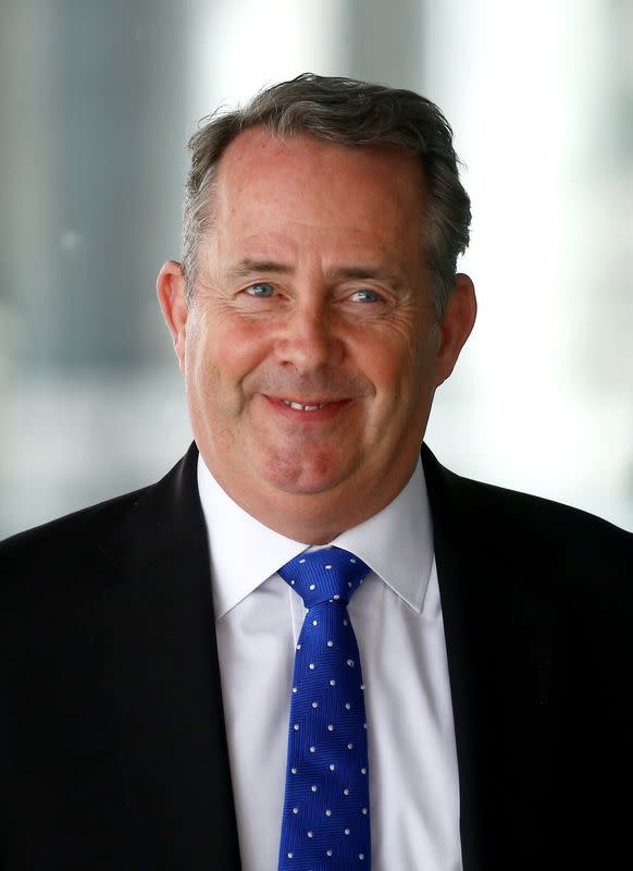 FILE PHOTO: Former British Secretary of State for International Trade Liam Fox in London, Britain July 23,