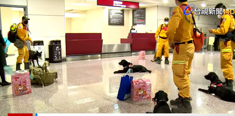 搜救犬在機場入境通道廳稍作休息，長榮航空也提供狗狗零食。（翻自《台視YouTube》）
