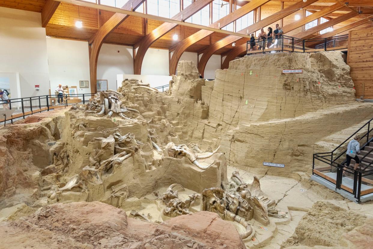 Visitors look down at mammoth fossils in a large sinkhole with sandy-colored walls