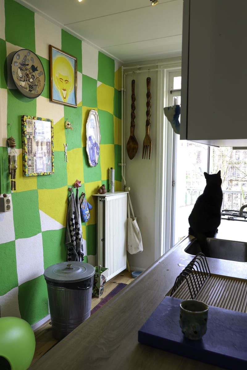 cat sitting on counter in kitchen with one green and yellow checked accent wall