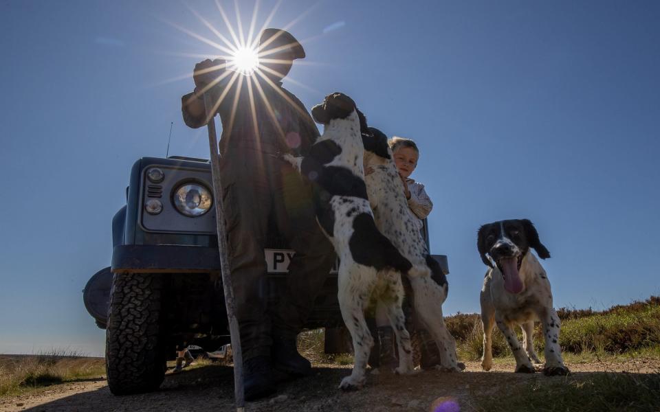 Jimmy Shuttlewood carrying out the final checks on his North Yorkshire grouse moor with his dogs and children - Charlotte Graham 