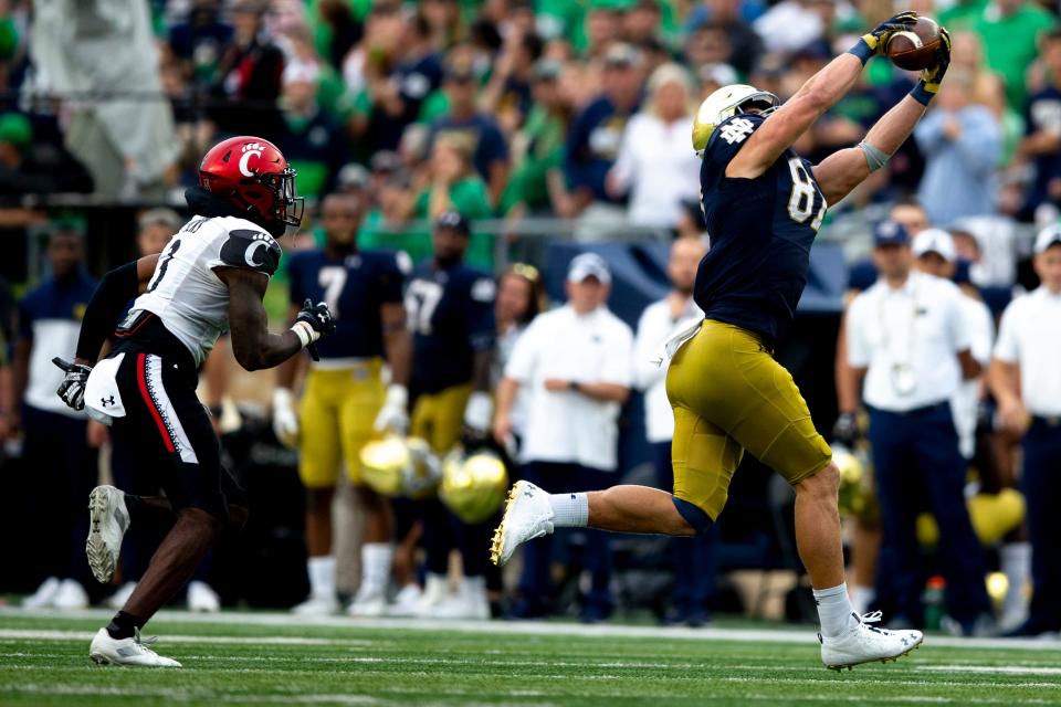 Michael Mayer catches a pass against the UC Bearcats in 2021.