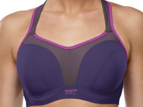 Panache Ultimate Underwire Sports Bra