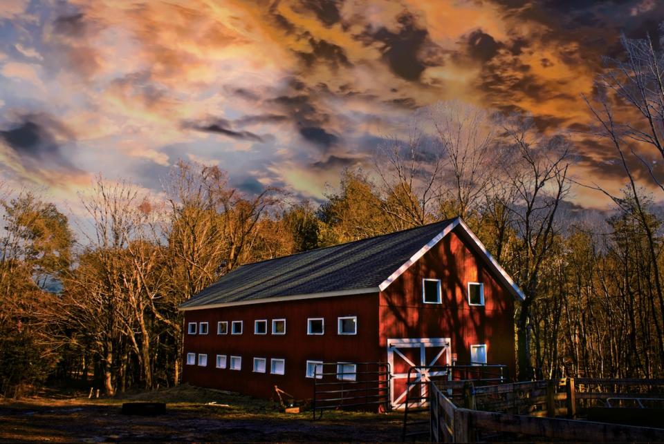 The Catherine Violet Hubbard Animal Sanctuary