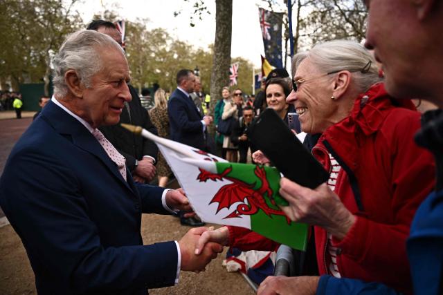 King Charles shakes hands with well-wishers along Mall ahead of coronation (AFP via Getty Images)