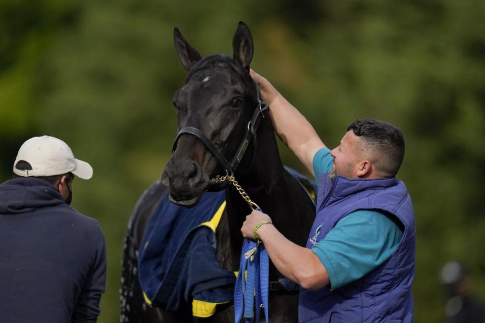 Kentucky Derby winner Medina Spirit is bathed after a workout ahead of the Preakness Stakes in May.