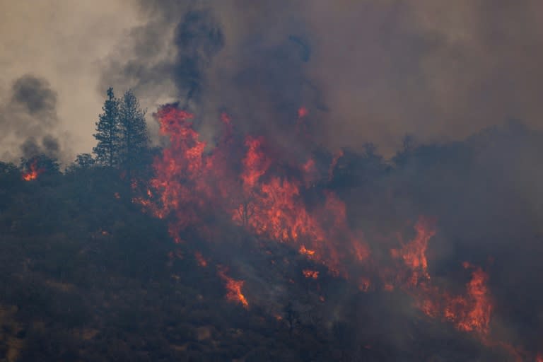 Die Häufigkeit und die Intensität extremer Waldbrände haben sich einer Studie zufolge in den vergangenen 20 Jahren weltweit mehr als verdoppelt. Diese Entwicklung sei auf den vom Menschen verursachten Klimawandel zurückzuführen, hieß es in der in der Untersuchung. (DAVID MCNEW)