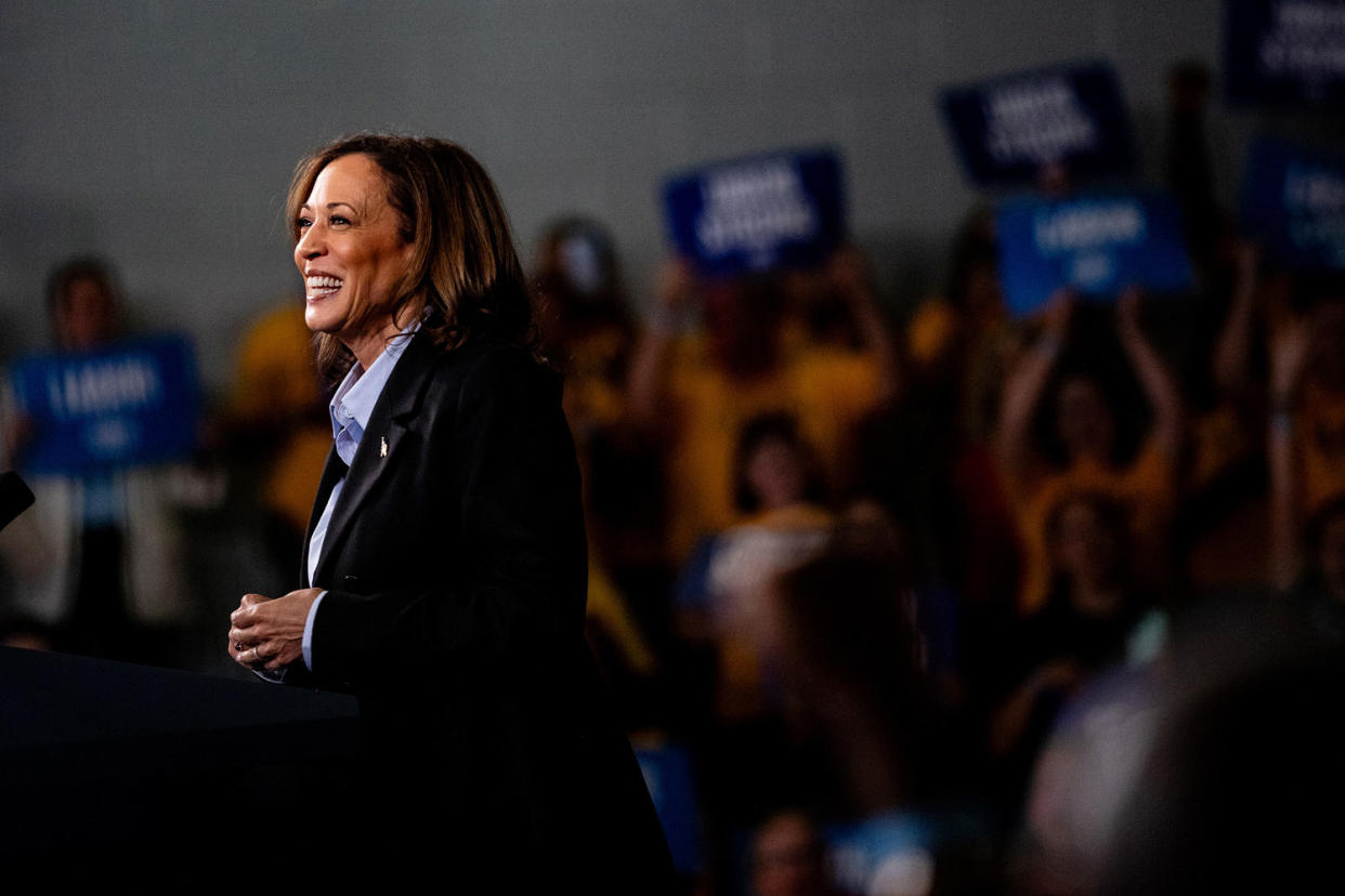 Kamala Harris (Emily Elconin / Bloomberg via Getty Images file )