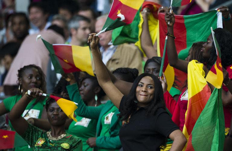 Cameroon supporters wave flags ahead of the friendly football match Germany vs Cameroon in preparation for the FIFA World Cup 2014 on June 1, 2014 in Moenchengladbach, western Germany