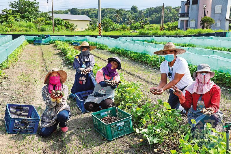 「宏成蝸牛awos農場」老闆文宏程（左2）與家人一起投入白玉蝸牛的養殖。