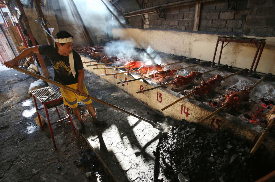 Pigs are roasted in Quezon city, Philippines