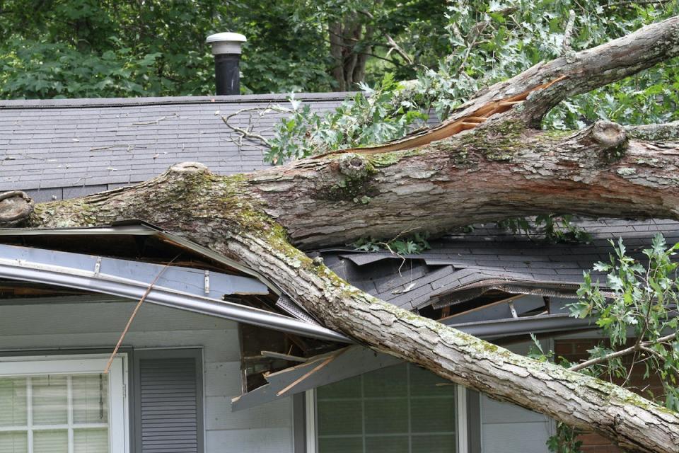 Tree caving in a home's roof