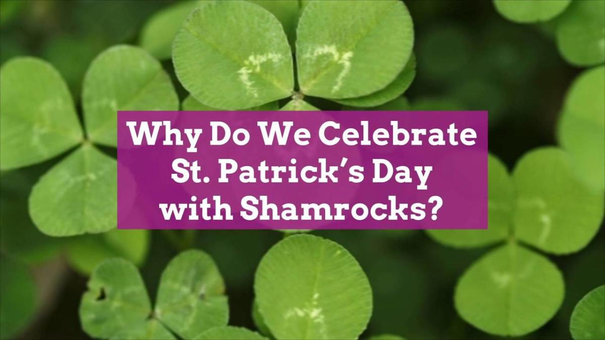 why-do-we-celebrate-st-patrick-s-day-with-shamrocks