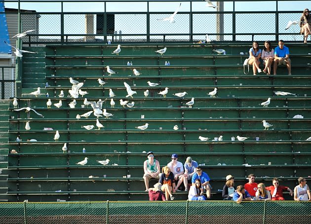 Rooftop tickets collapsing like Cubs