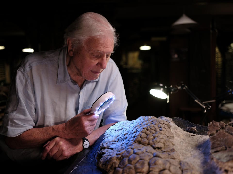 Picture shows: Sir David Attenborough **NOT TO BE RELEASED UNTIL 7th APRIL 2022** Sir David Attenborough looking at fossilised Triceratops skin through a magnifying glass. ,2022-04-07 00:00:01