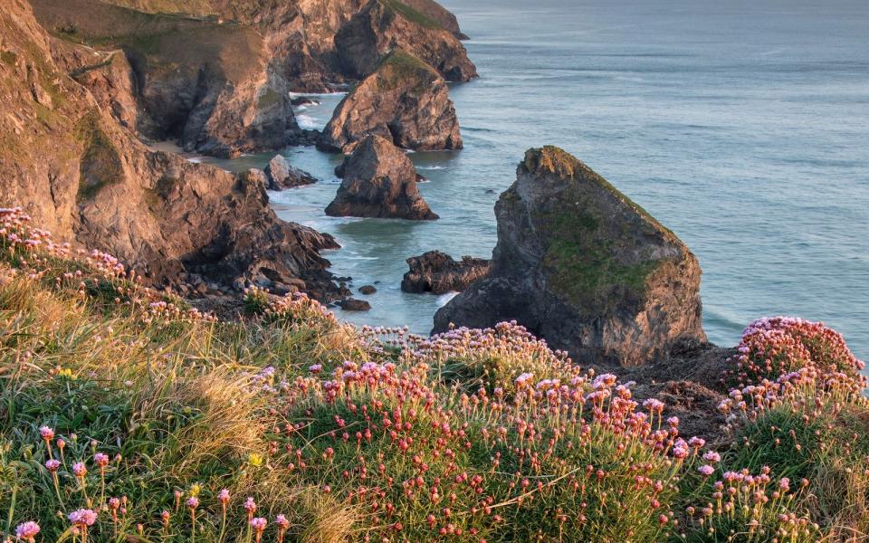 Seit Jahren reisen Millionen Deutsche nach Cornwall, um die Drehorte der "Rosamunde Pilcher"-Produktionen zu besuchen.  (Bild: iStock/Matt_Gibson)