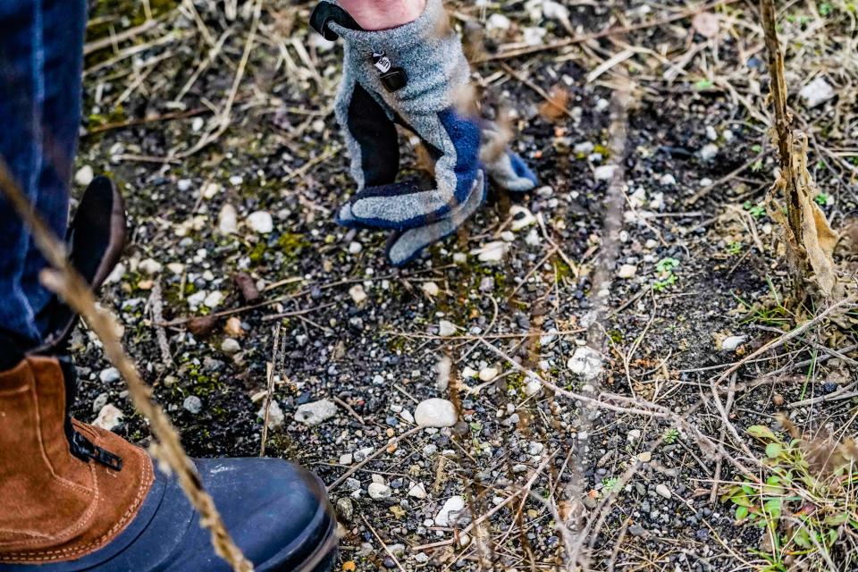 Larry Jensen digs in soil for coal ash near the Calumet Trail on Wednesday, Jan. 31, 2023, in the Town of Pines, Ind.