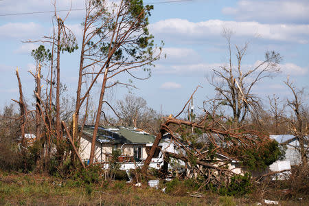 Trees toppled by Hurricane Michael surround a home in Springfield, Florida, U.S., October 14, 2018. REUTERS/Terray Sylvester