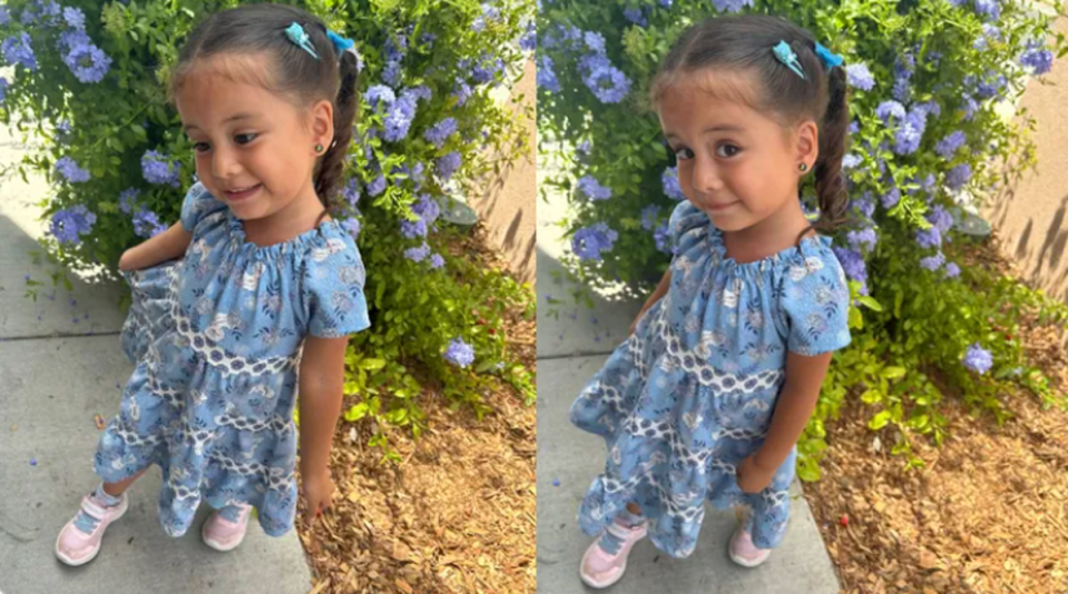 Ily Ruiz, 3, found dead in car as temperatures soar to 104°F (GoFundMe)