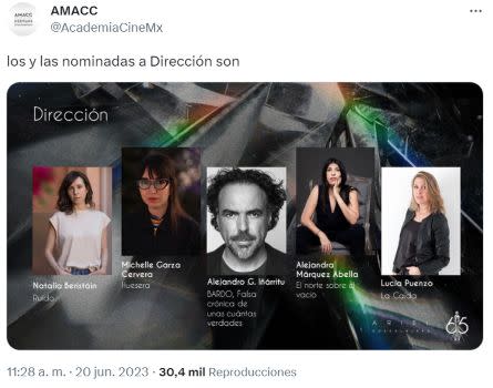 mejor dirección premios ariel 2023