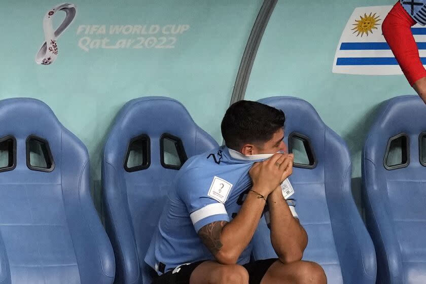 Uruguay's Luis Suarez sits on the bench during the World Cup group H soccer match between Ghana and Uruguay, at the Al Janoub Stadium in Al Wakrah, Qatar, Friday, Dec. 2, 2022. (AP PhotoThemba Hadebe)