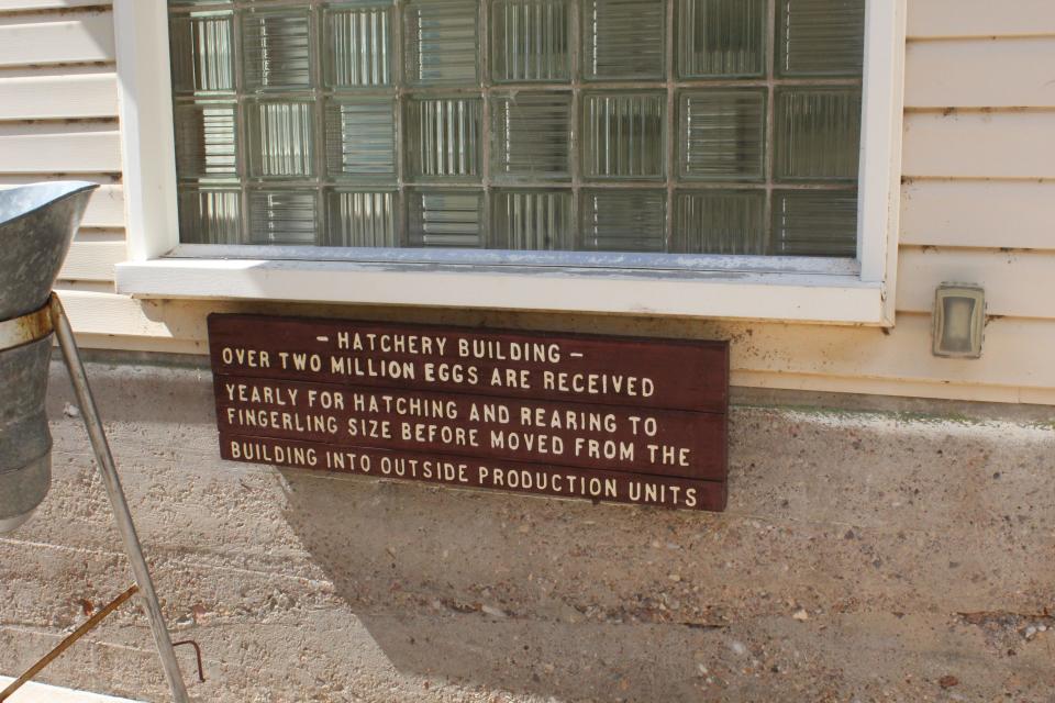 A sign at Williams Creek National Fish Hatchery in McNary helps tell the story of what happens at the site.