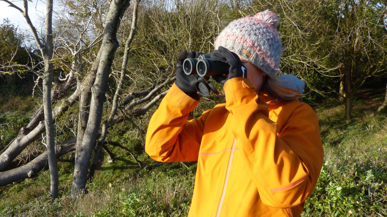  How to use binoculars: checking stuff out with binoculars. 