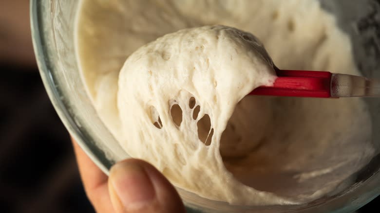 Mature sourdough starter in a bowl