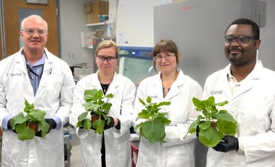 Tiamat Sciences' Technical Team with Nicotiana benthamiana plants used for plant-based protein expression.