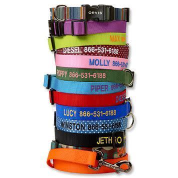 Personalized Side-Release Buckle Collar