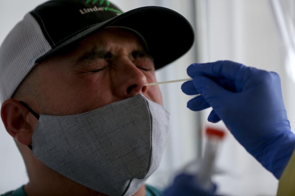 Luis Campos Flores gest a nasal swab as part of a COVID-19 screening at Bethel Heights Vineyard near Salem, Ore.