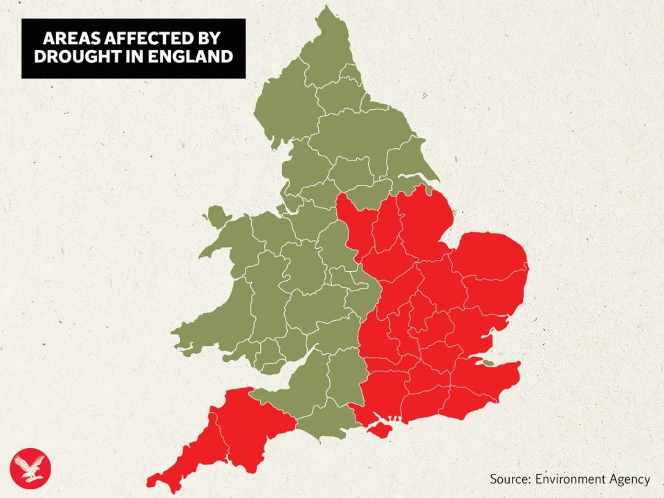 The Environment Agency (EA) confirmed that eight of its 14 areas moving into drought status (The Independent)