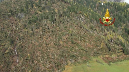 Killer storms have flattened forests in Italy's north