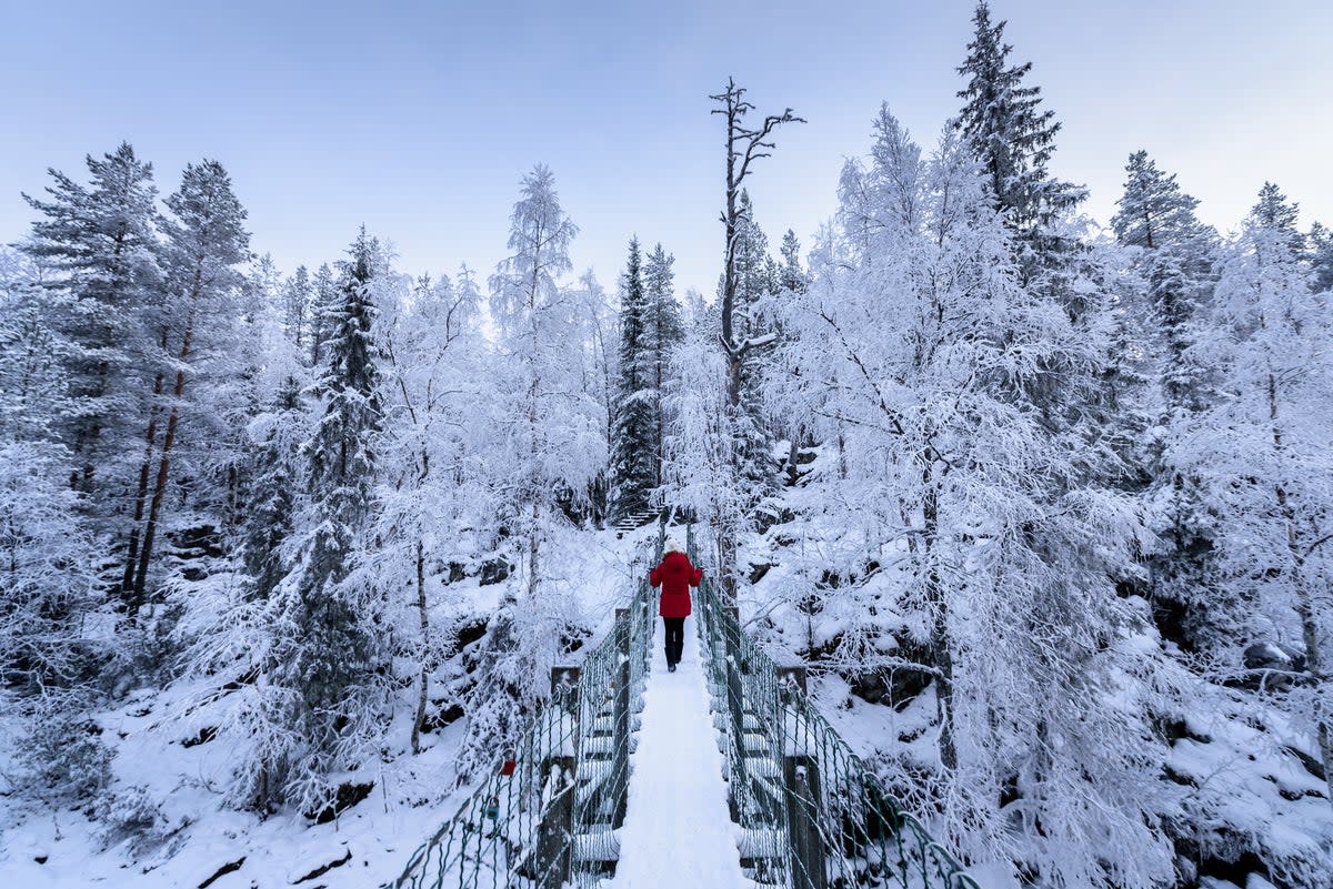 Tread the frozen Finnish wilderness by strapping on a pair of snowshoes (Getty Images/iStockphoto)