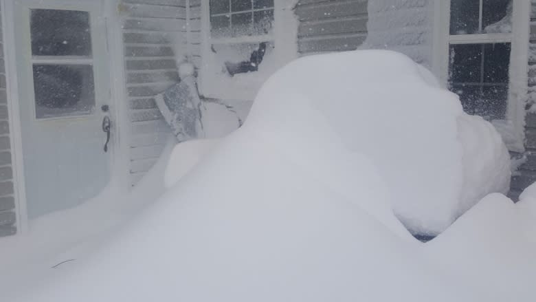 Mother Nature sets new snowfall record in central Newfoundland