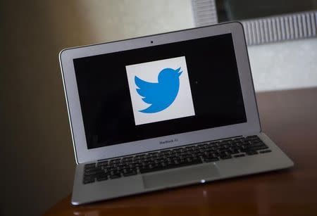 A portrait of the Twitter logo in Ventura, California December 21, 2013. REUTERS/Eric Thayer