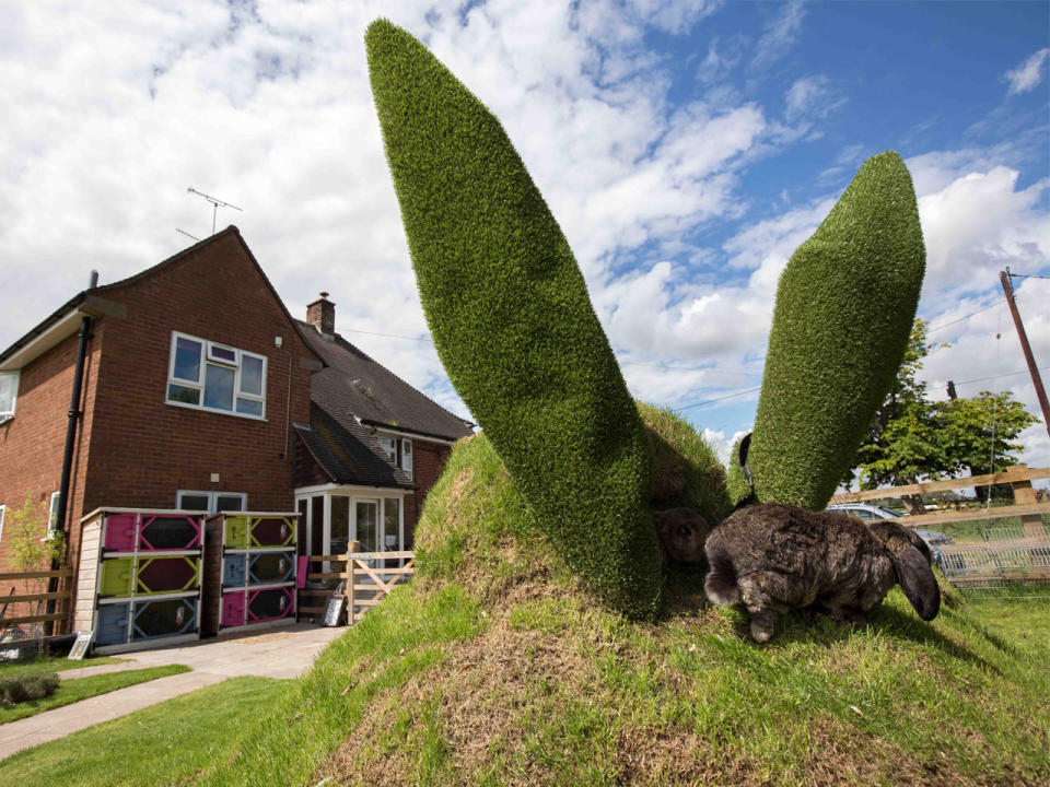 Britisches Paar verwandelt Garten in ein "Alice im Wunderland"-Paradies